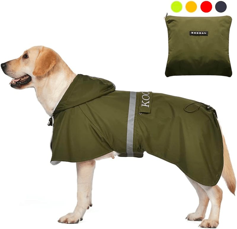 raincoat for dogs