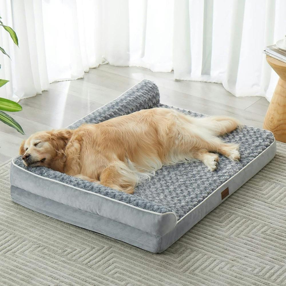 orthopedic bed for dogs