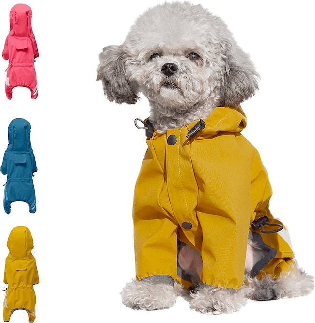 dog raincoat