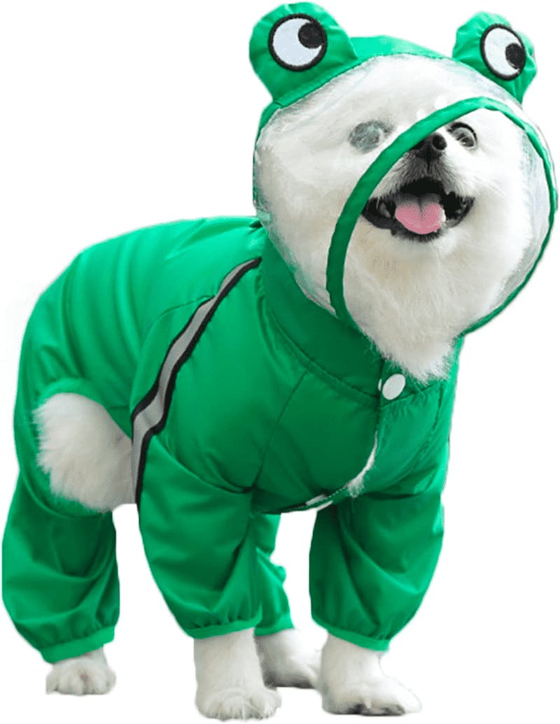 seis dog raincoat