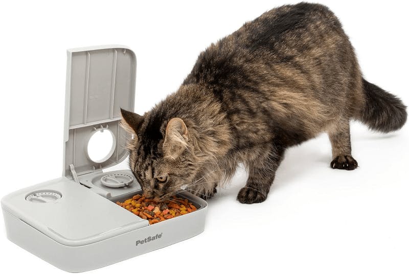 petsafe cat feeder