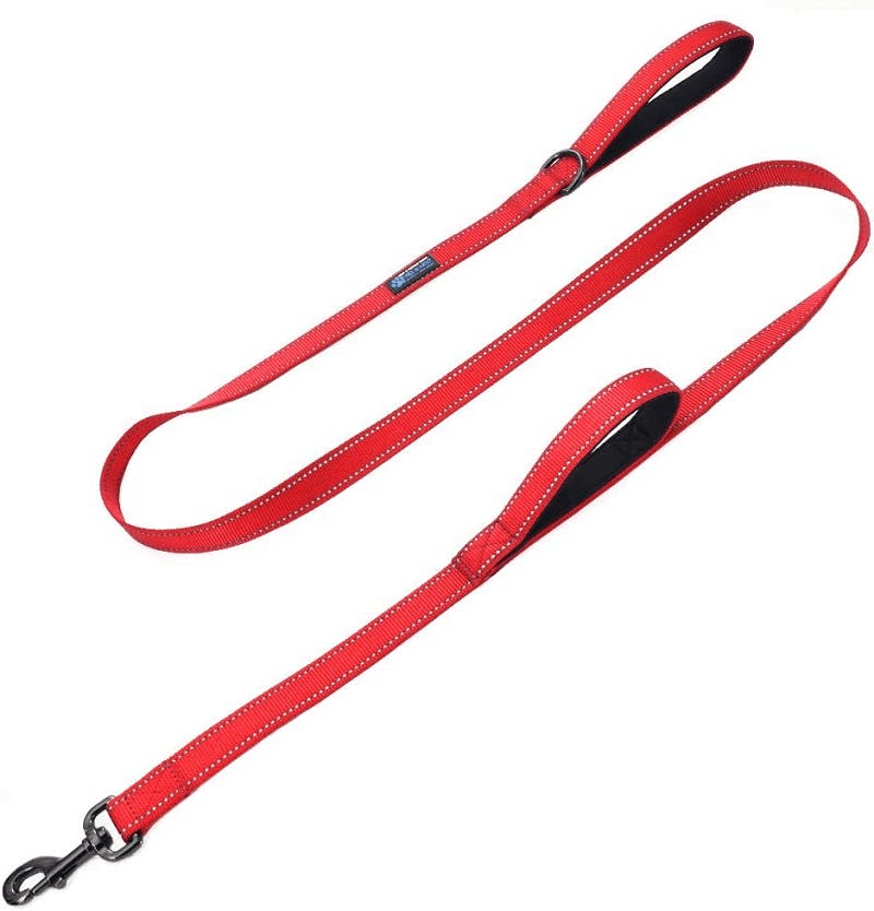 10 Best Waterproof Dog Leashes in 2023