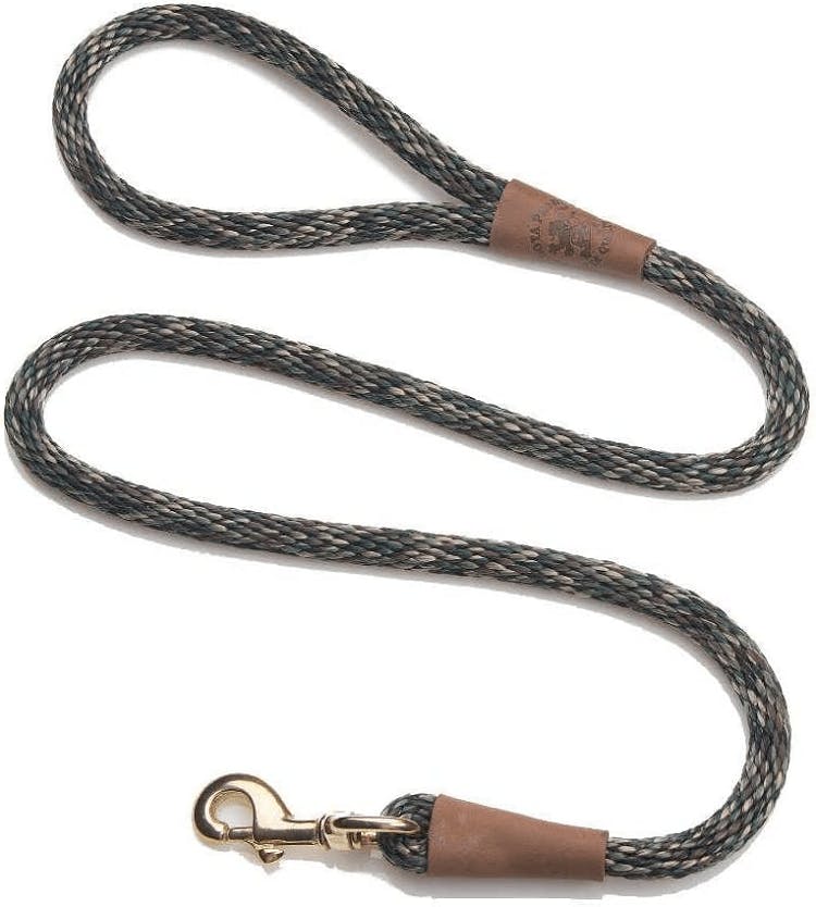 10 Best Waterproof Dog Leashes in 2023