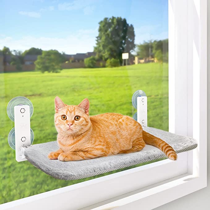 cat window perch