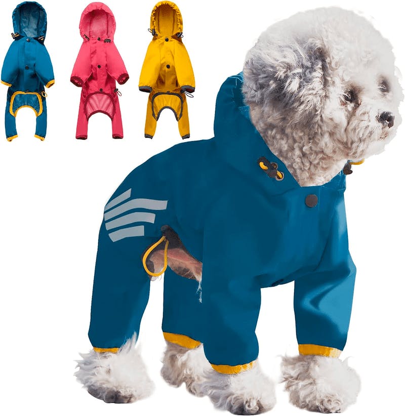Top 7 Best Dog Raincoats of 2023