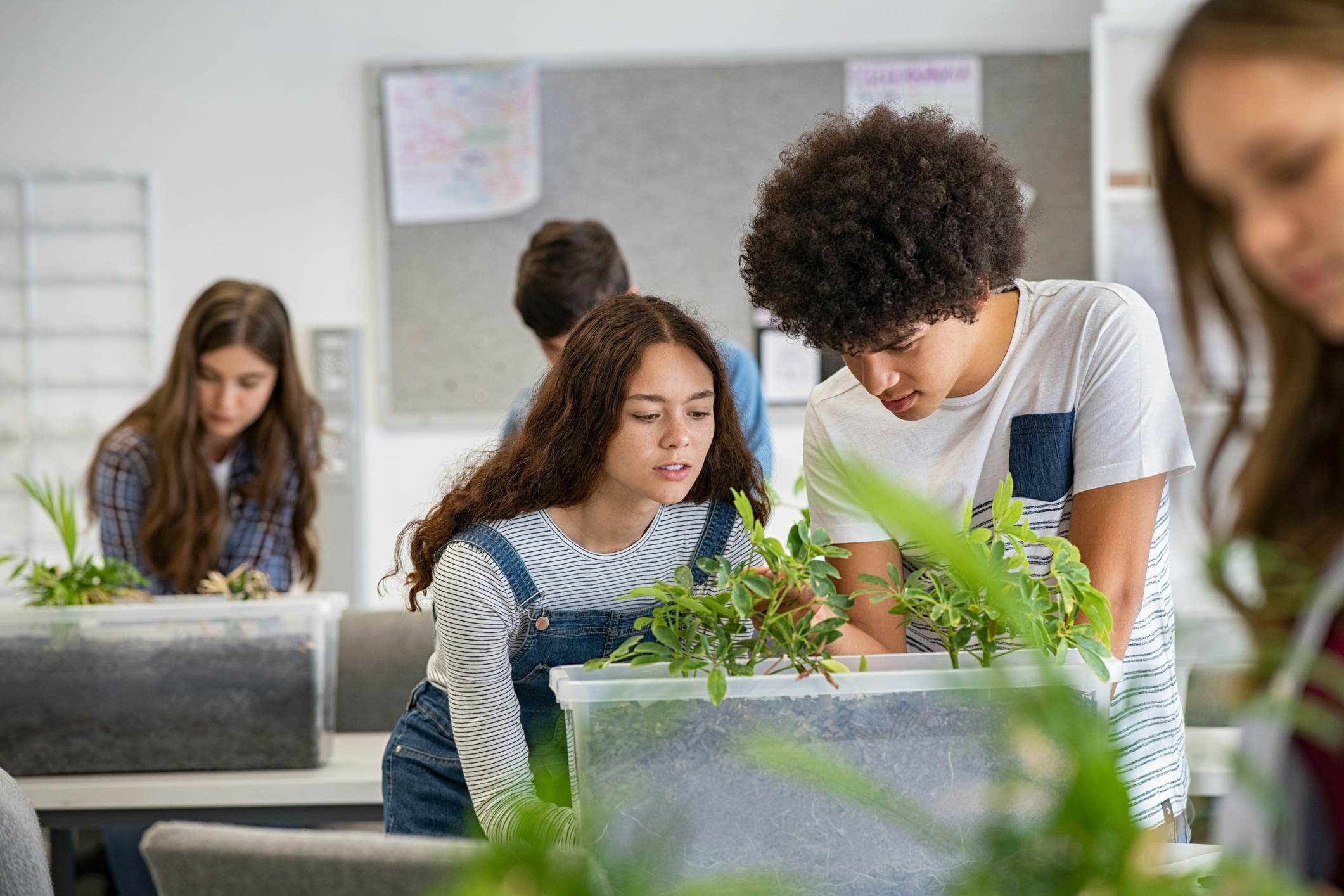 Female and male student working together in a lab