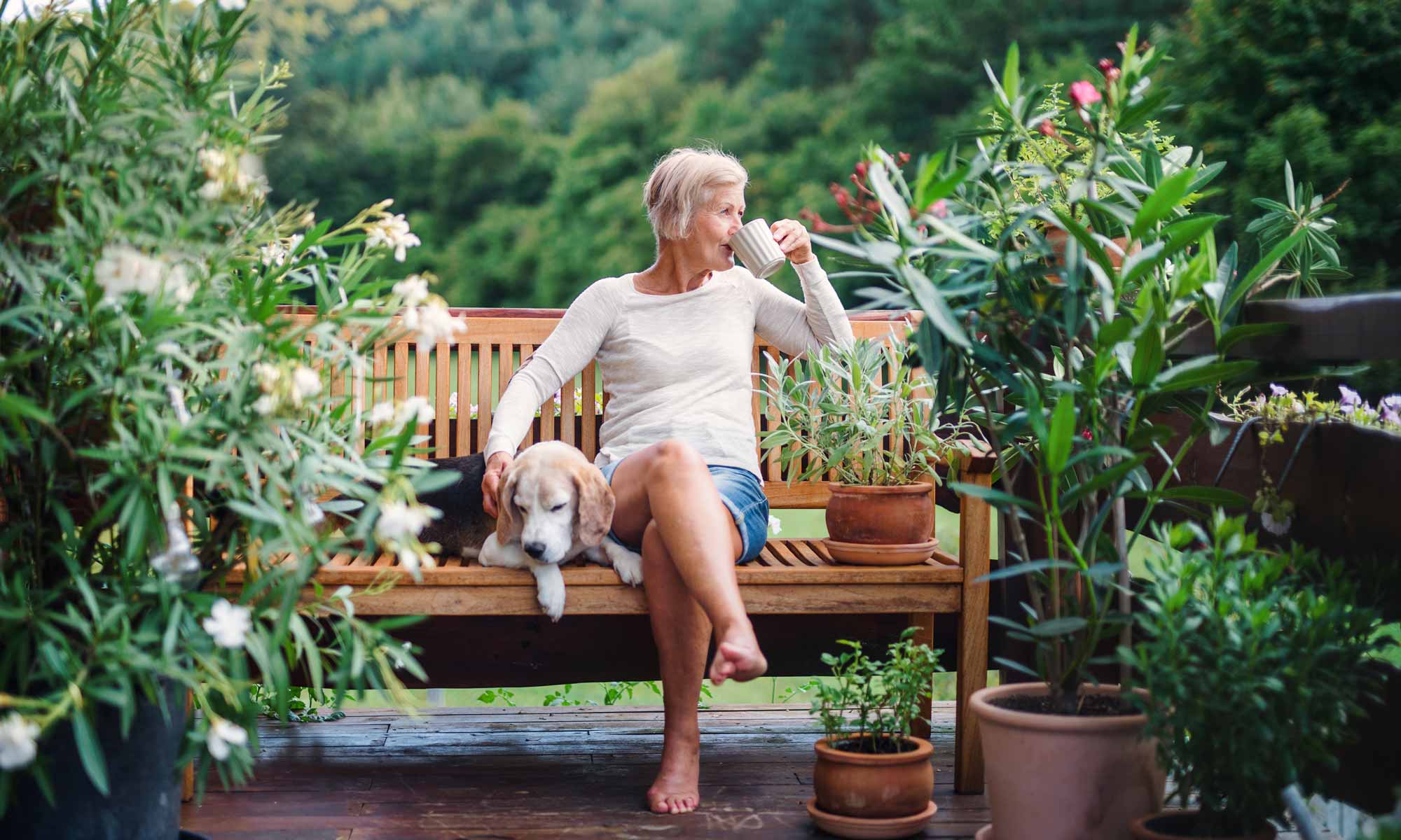 SurgeryFree Pain Relief with Prolotherapy Santa Rosa