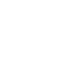 instant-access-reports-icon