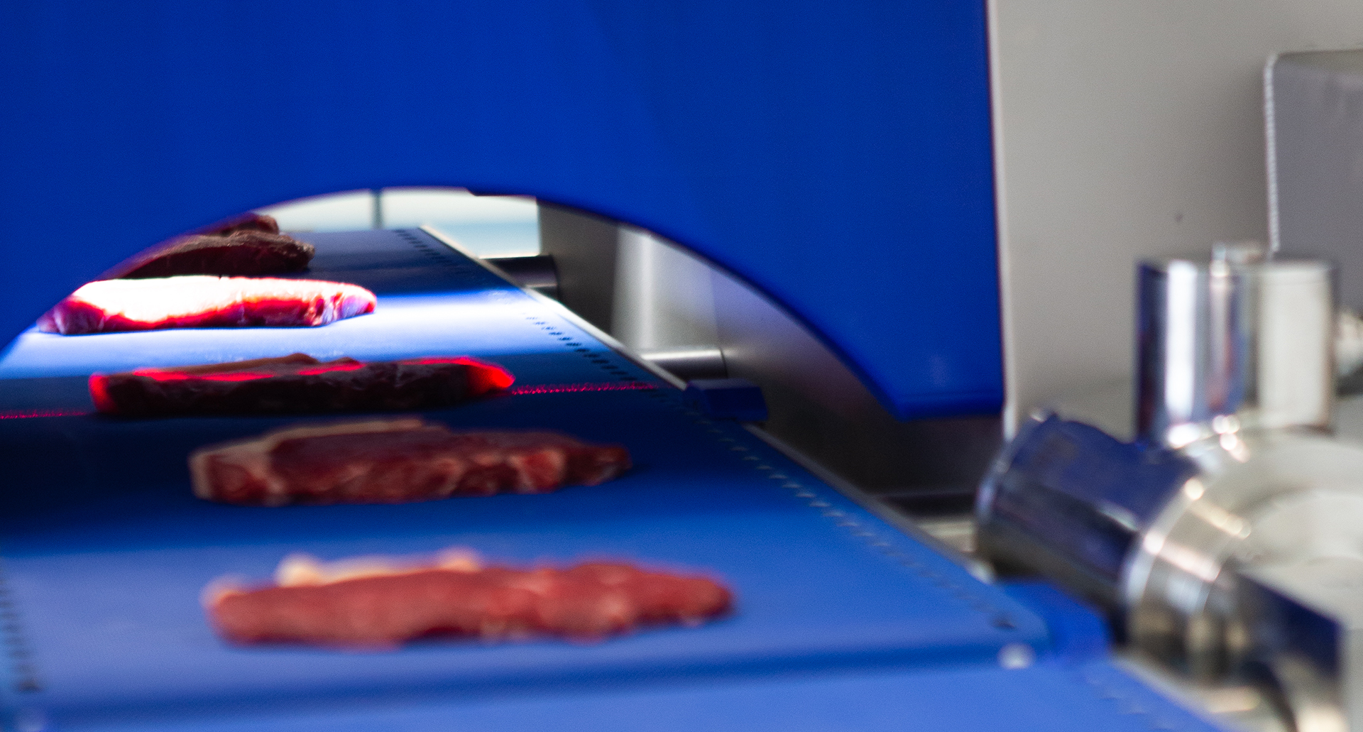 Meat Marel Annual Report 2019