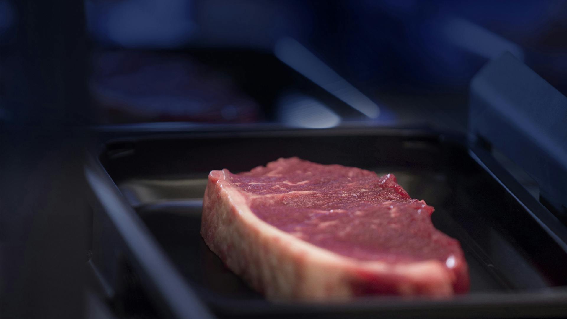 Meat Marel Annual Report 2019