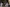 Registro 8: Venus, Dolce, Paula (2023)