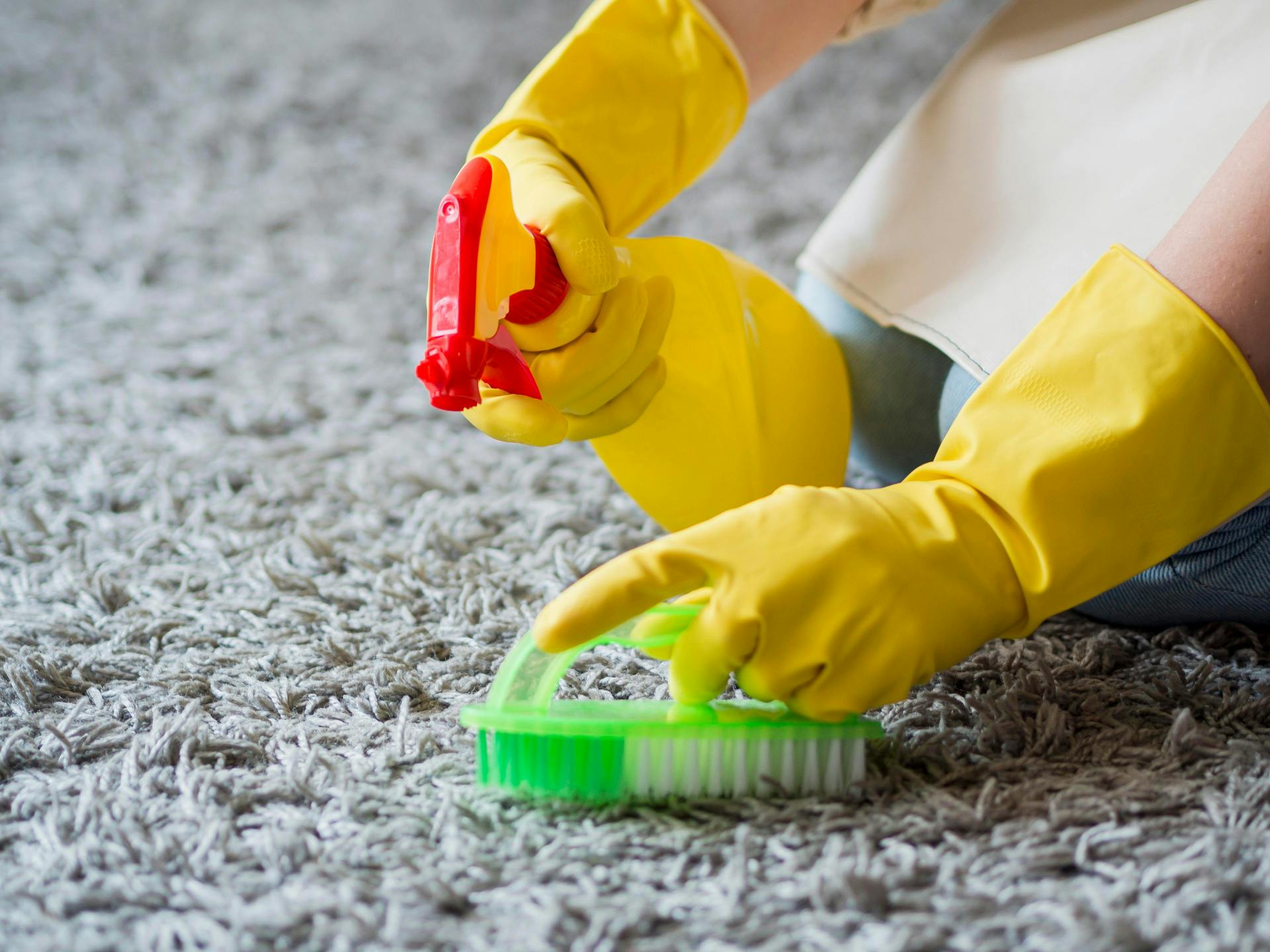 Professional vs. DIY Carpet Smell Remover: When to Call the Experts
