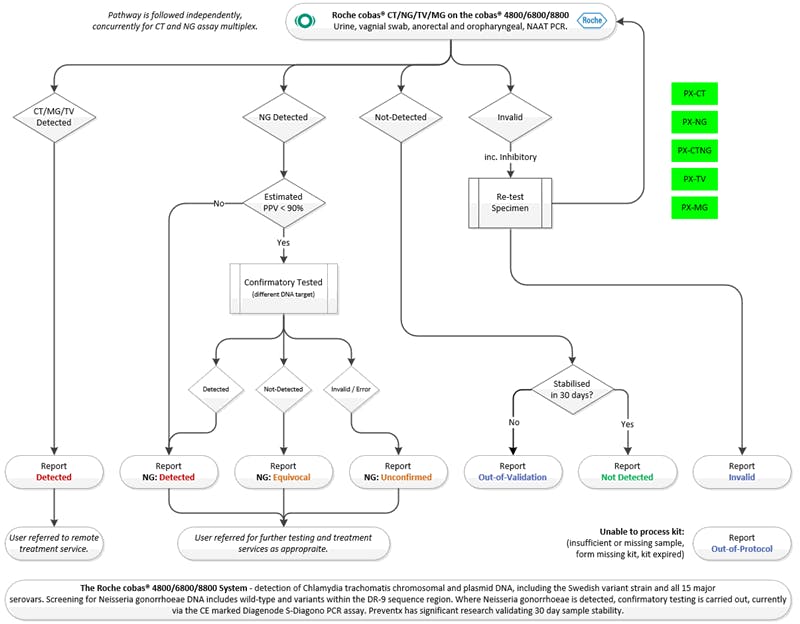 Testing Algorithm - CTNG