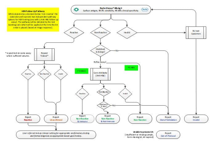 Testing Algorithm 1 - HBV
