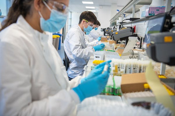 Samples being checked by the lab