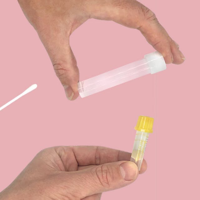 Sample Collection Options