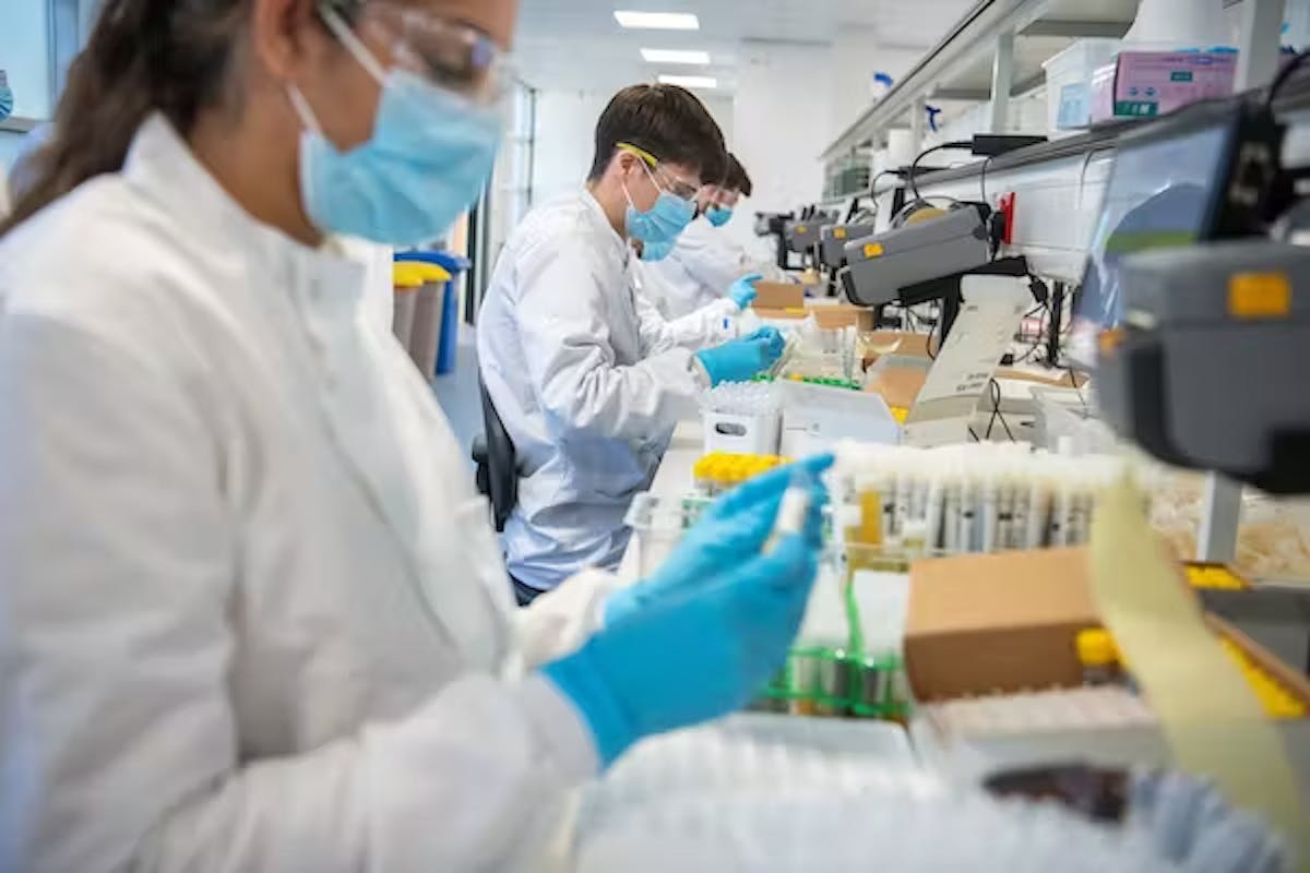 Samples being checked by the lab