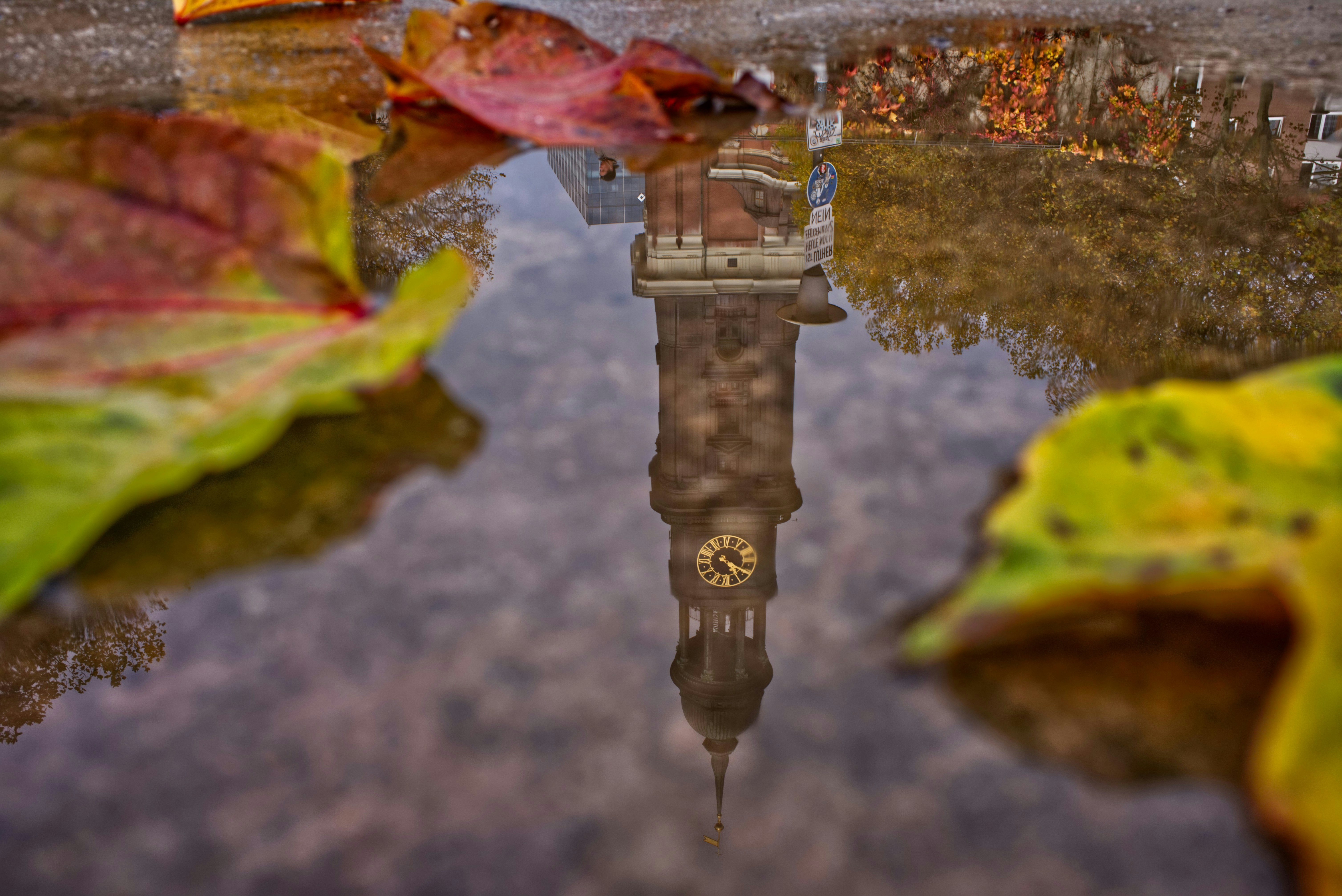 Surface water on a road