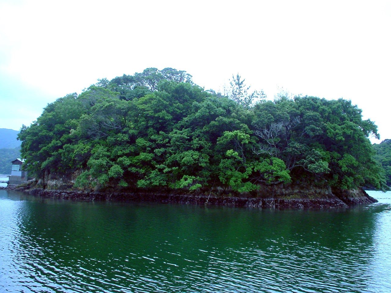 Cover Image for Maru island