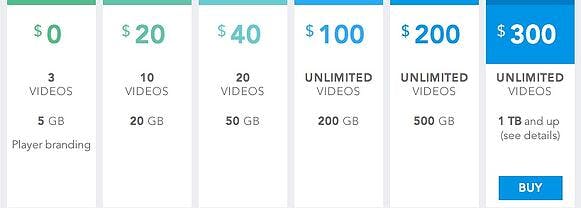Pricing tiers range from free, including 3 videos and 5GB of storage, up to $300 with unlimited videos and 1TB of storage