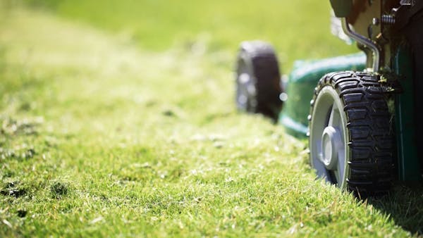 Close-up picture of lawn mower on grass