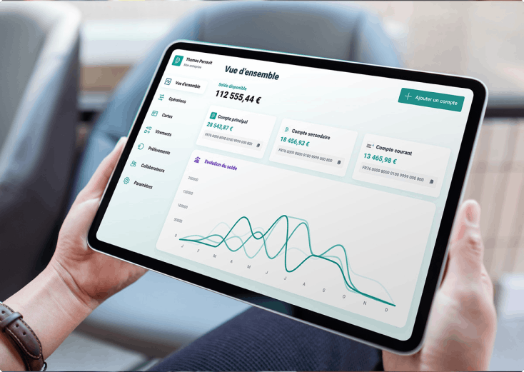 gestion de tresorerie