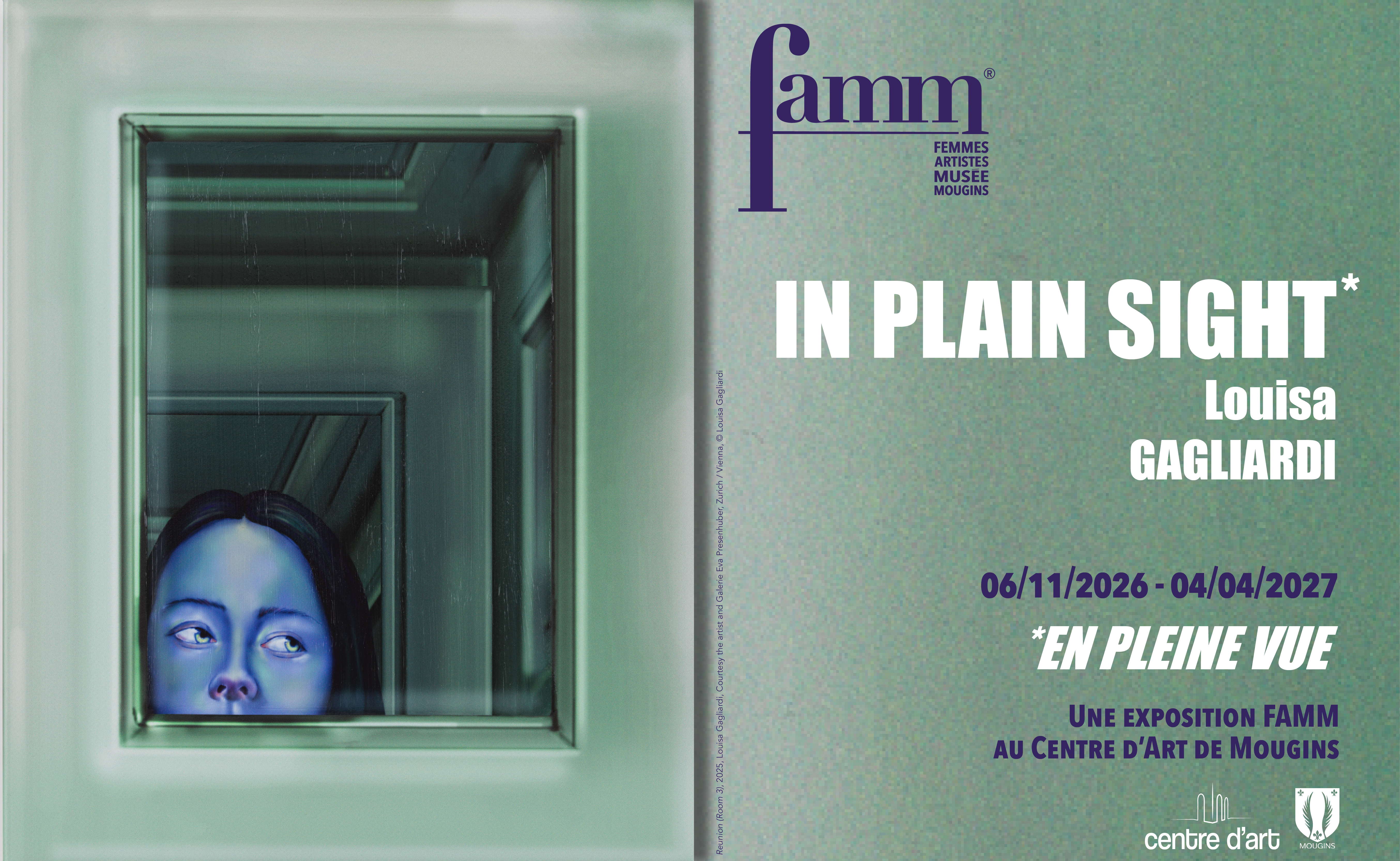 Affiche In Plain Sight