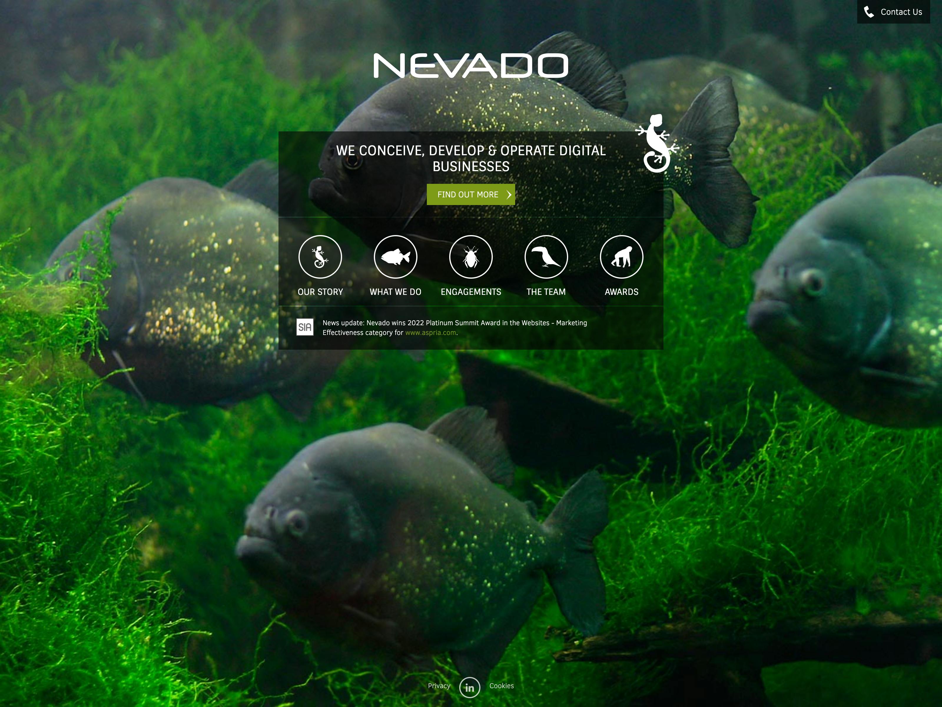 Nevado website screenshot