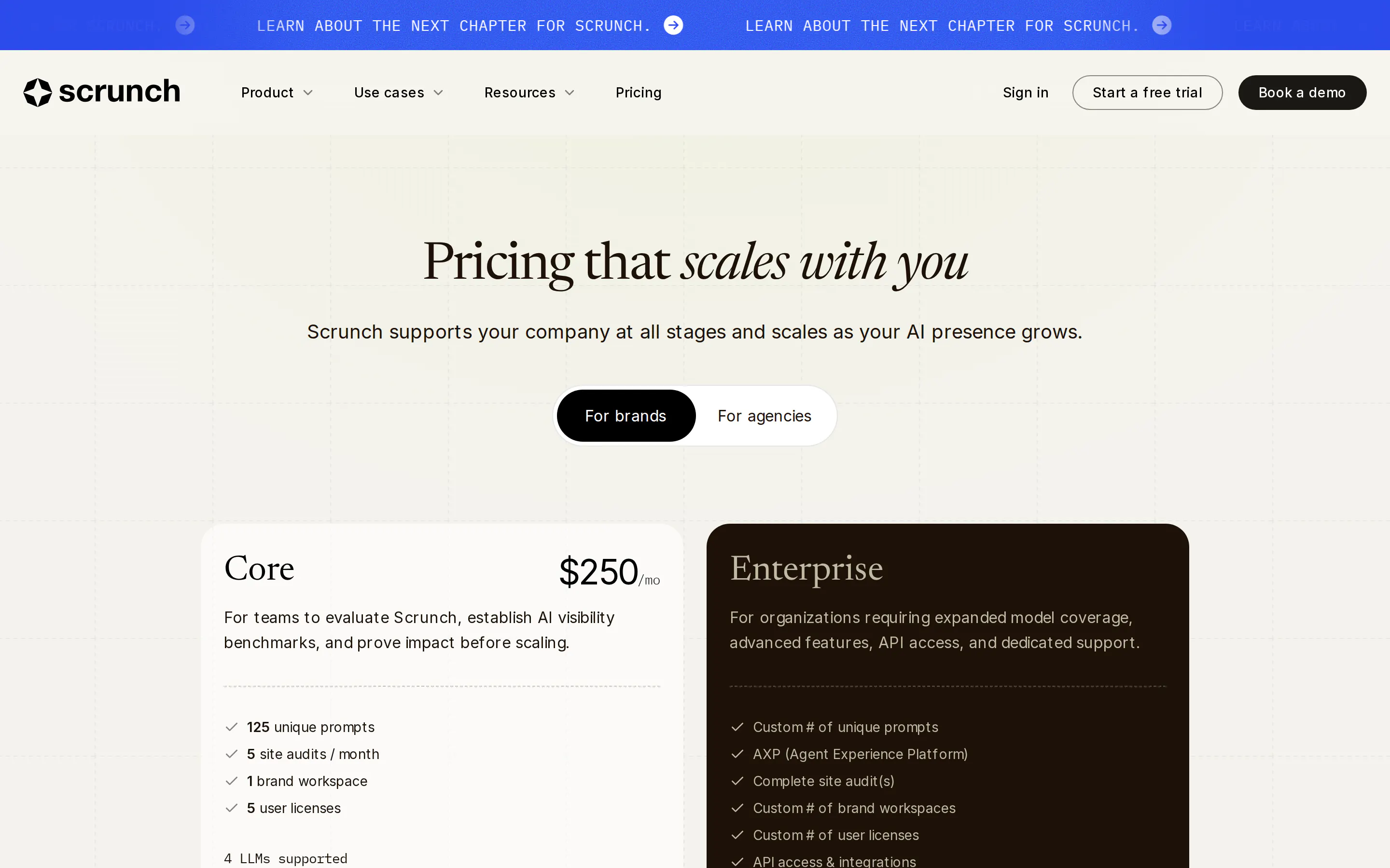 Scrunch pricing page showing a Core plan at $250 per month with 125 unique prompts, five site audits, one brand workspace and four LLMs supported, alongside a custom Enterprise tier