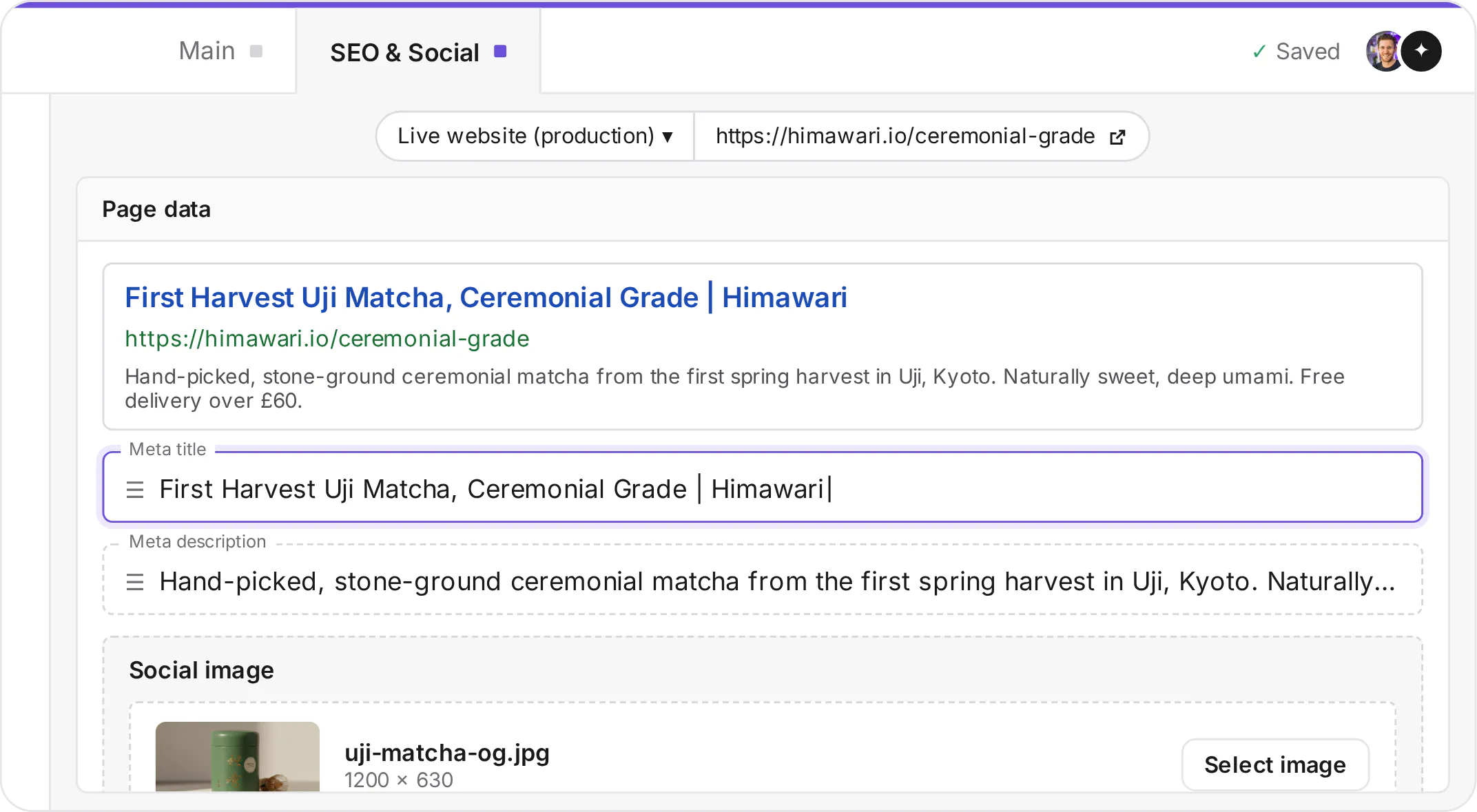 Prismic SEO and Social tab with a search preview, meta title, meta description and social image