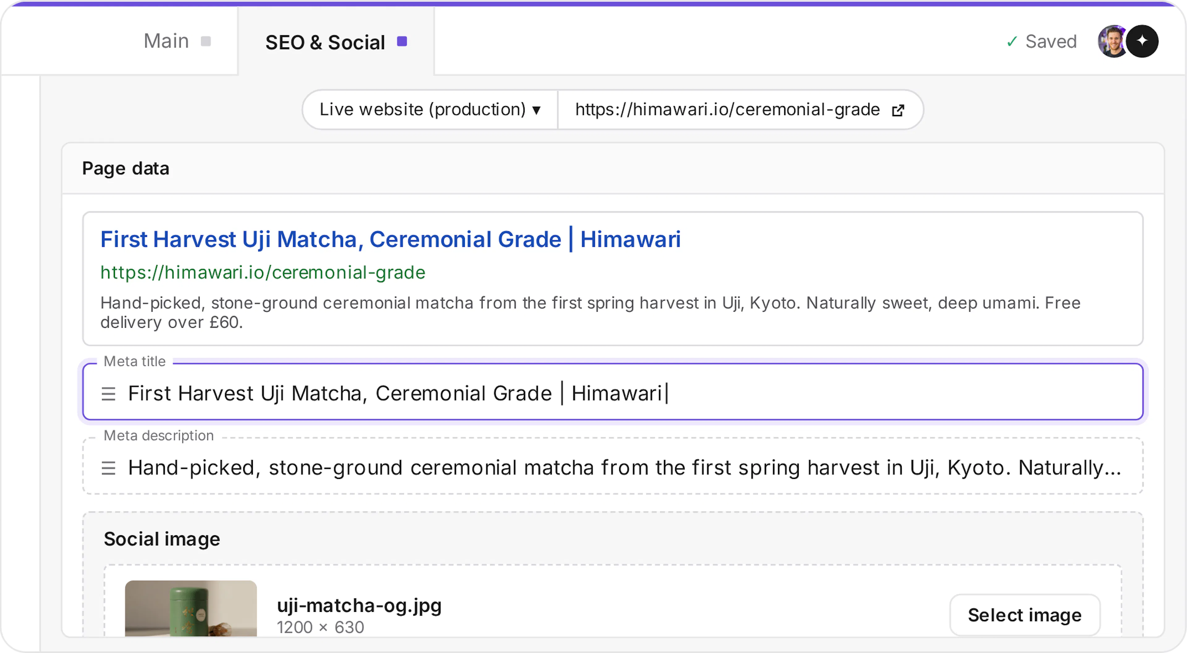 Prismic SEO and Social tab with a search preview, meta title, meta description and social image