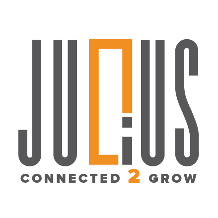 Julius logo