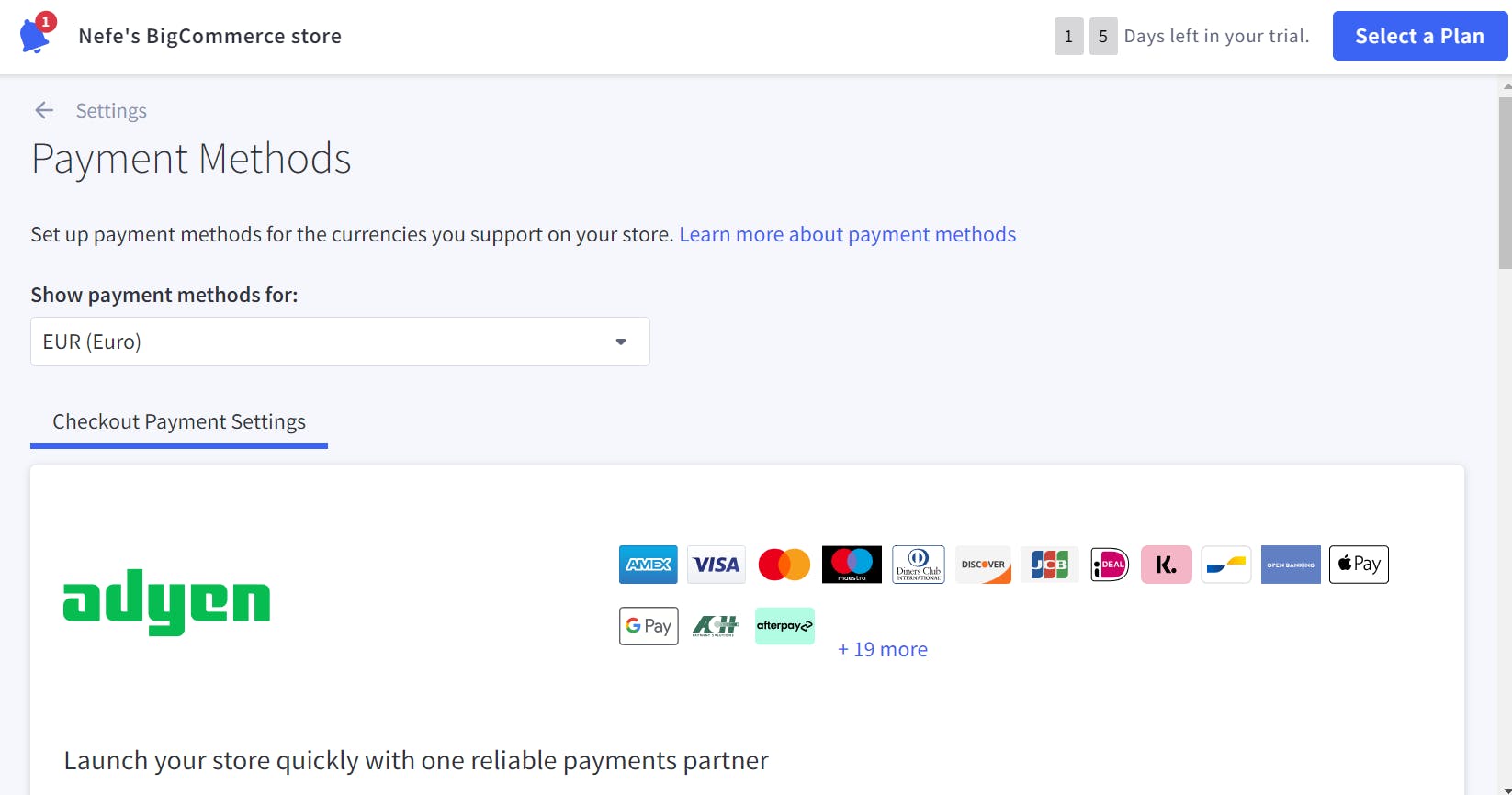 An image of BigCommerce payment methods