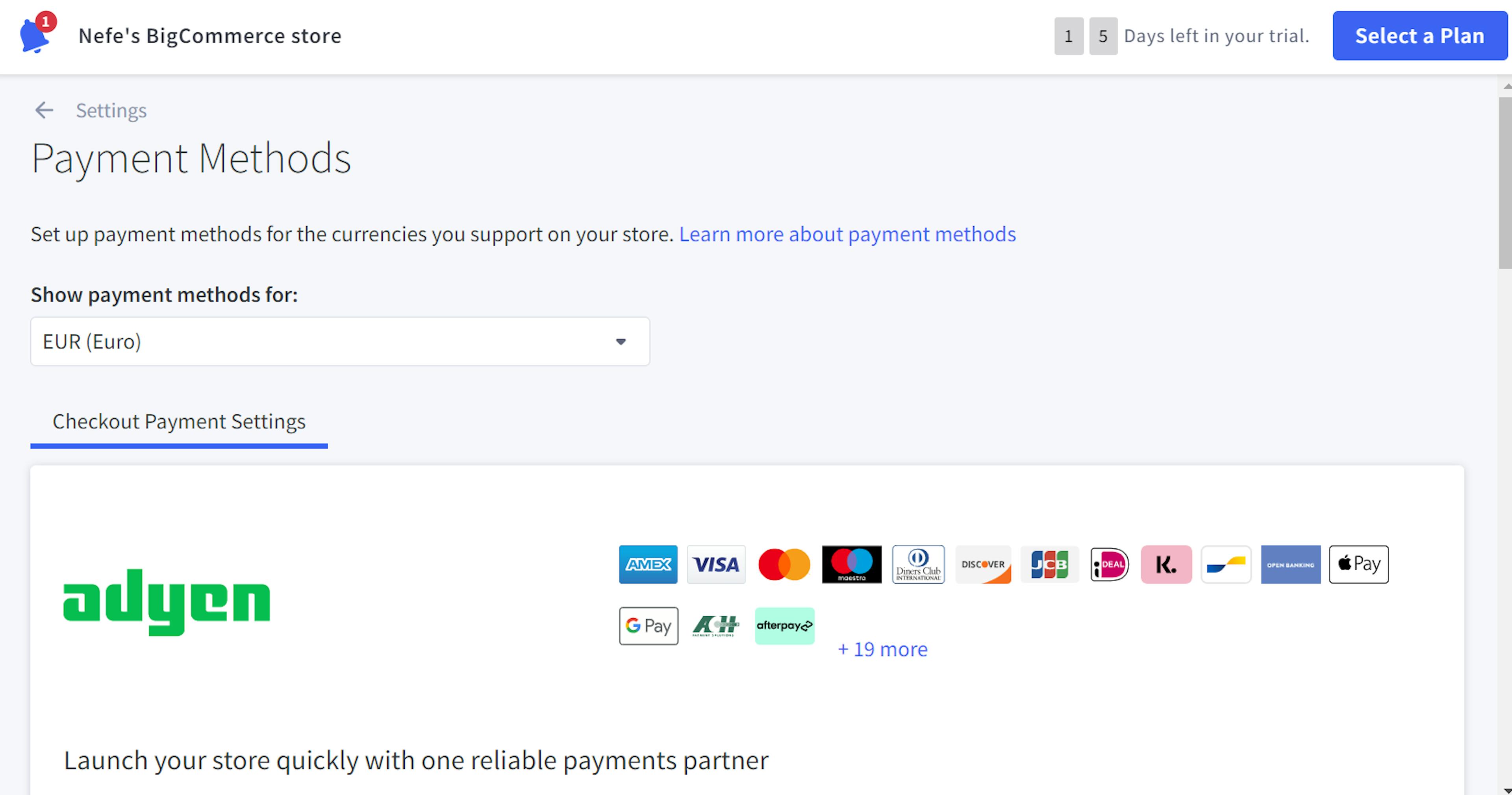 An image of BigCommerce payment methods