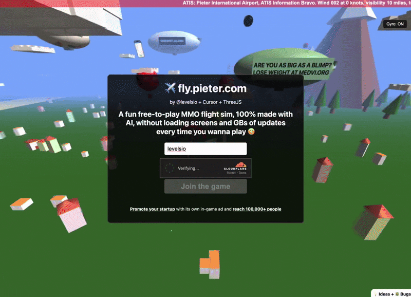 GIF of Pieter fly game