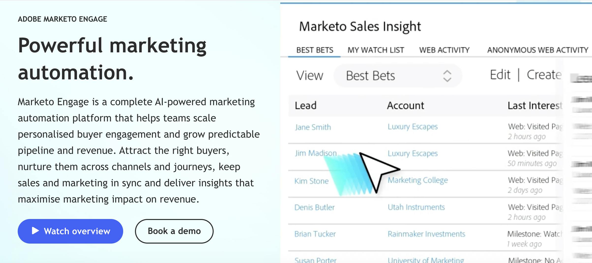 Adobe marketo engage automation platform