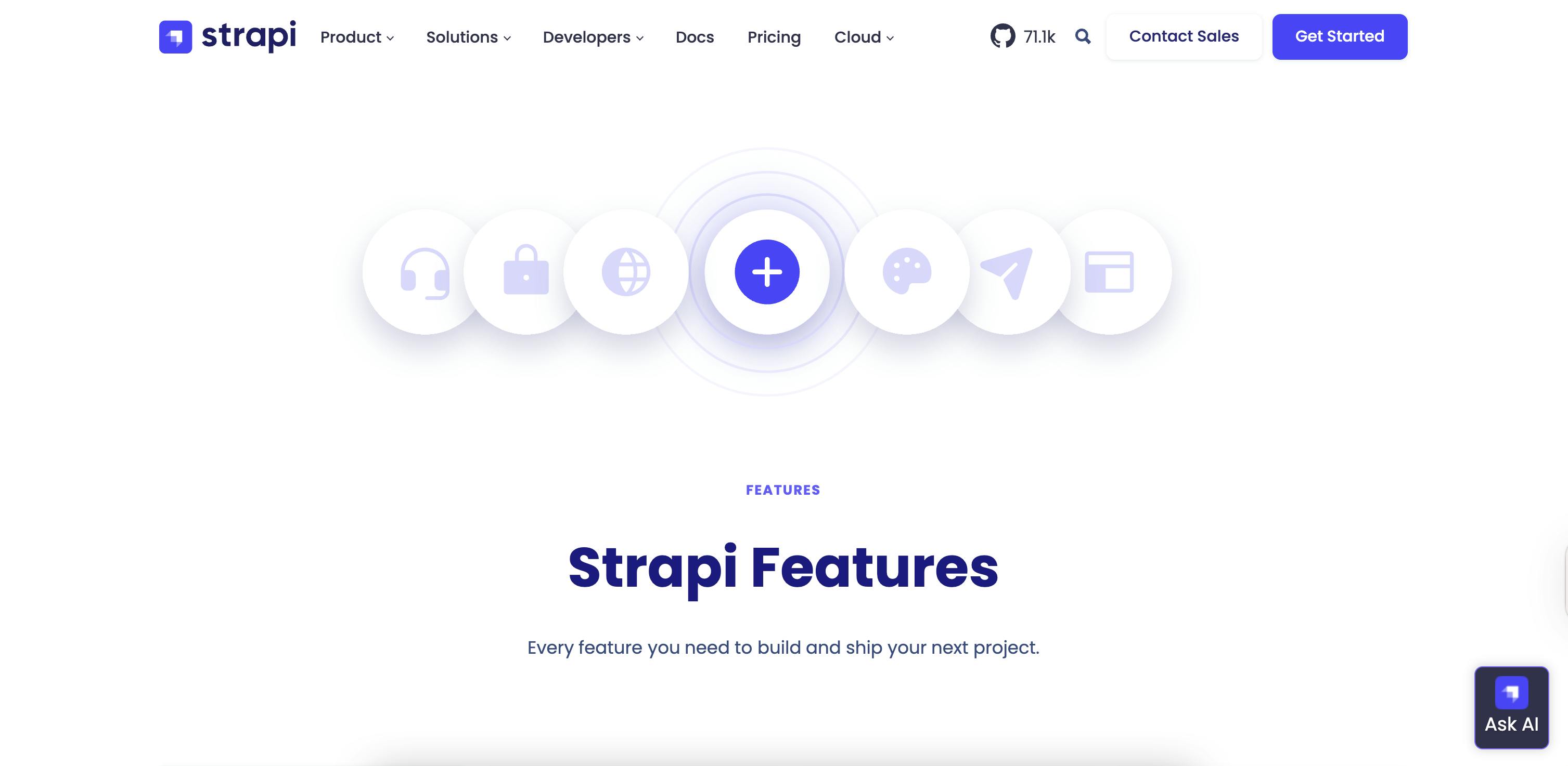 Image of Strapi CMS homepage
