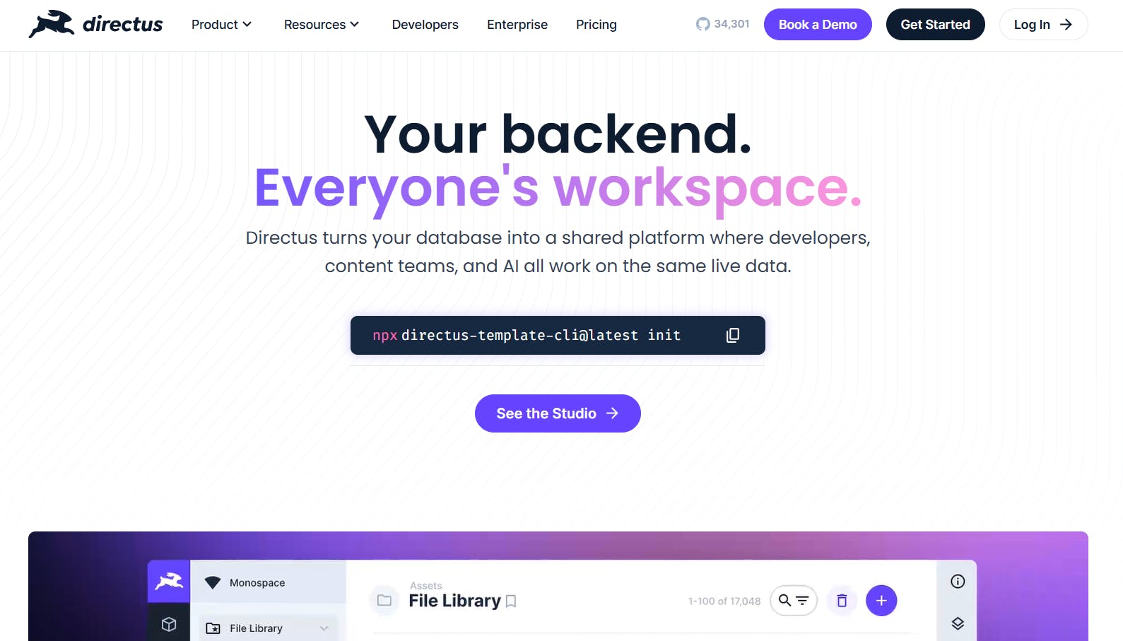 Image of Directus homepage