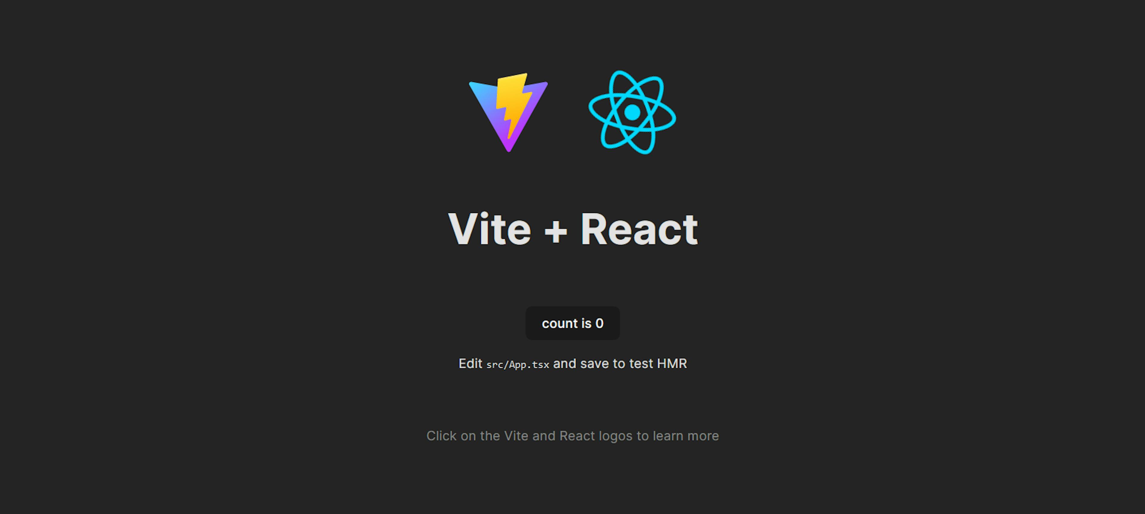 An image of Vite and React project.