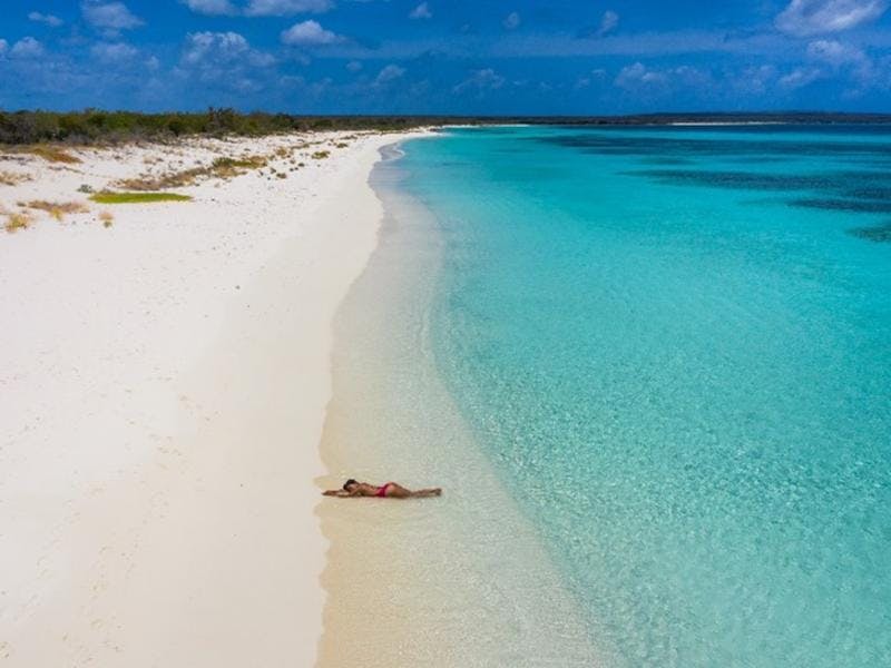 bahia de las aguilas