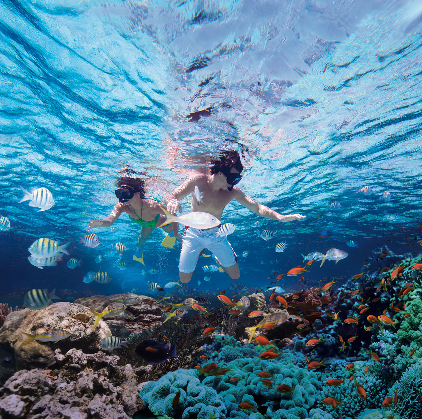 Personas haciendo snorkel entre peces tropicales y coral en Punta Rucia, República Dominicana