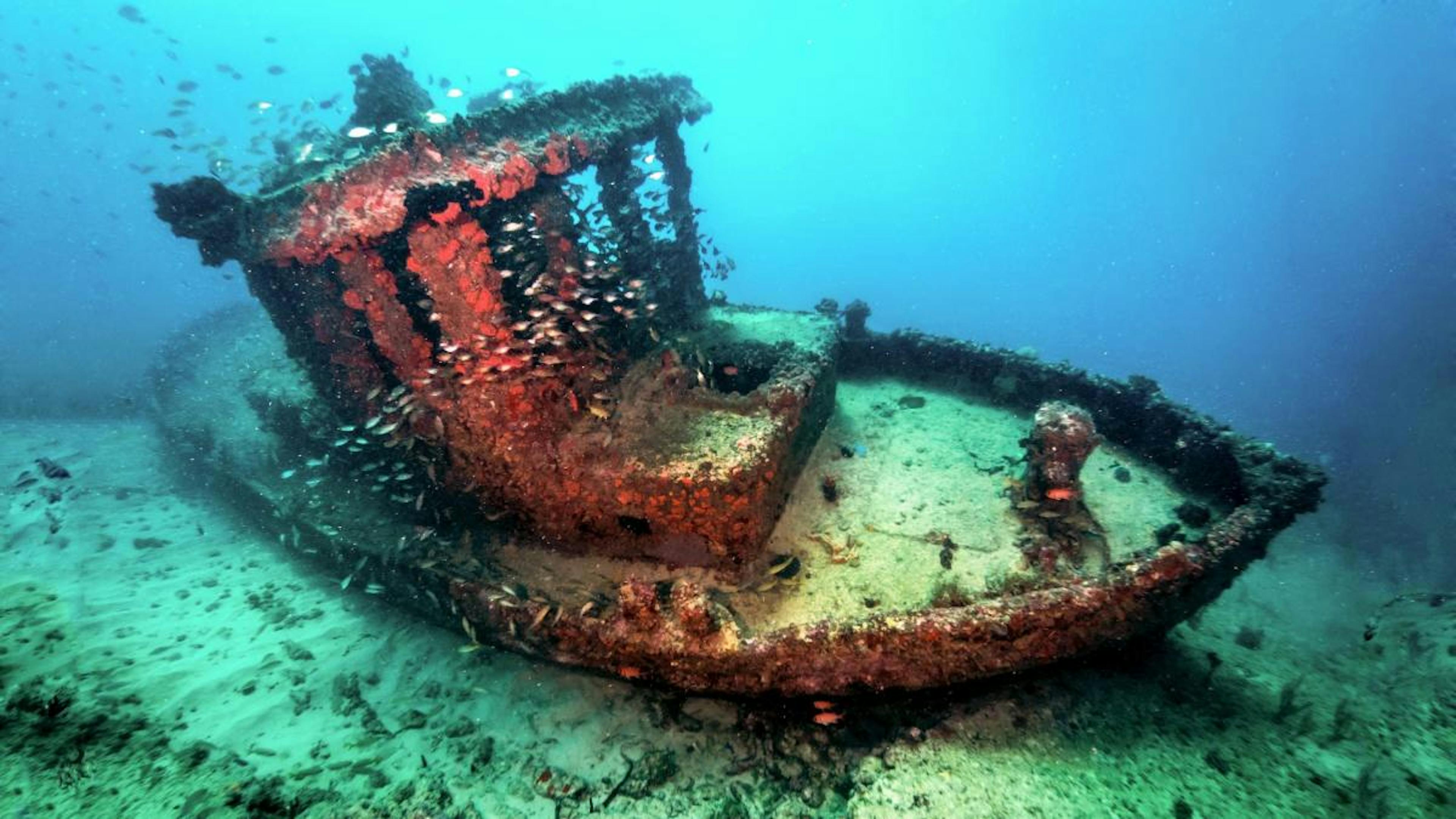 Alto Velo Wreck