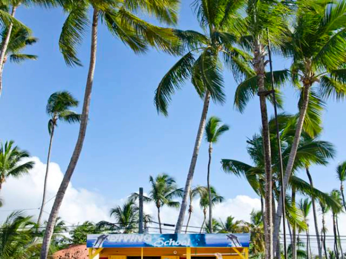 Plage et nature a Las Terrenas