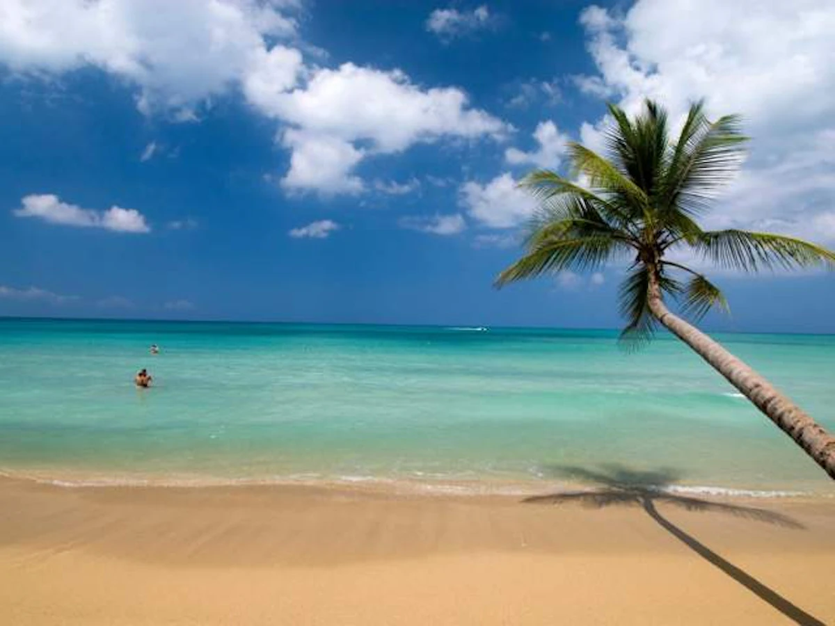 Vue cotiere de Las Terrenas, peninsule de Samana
