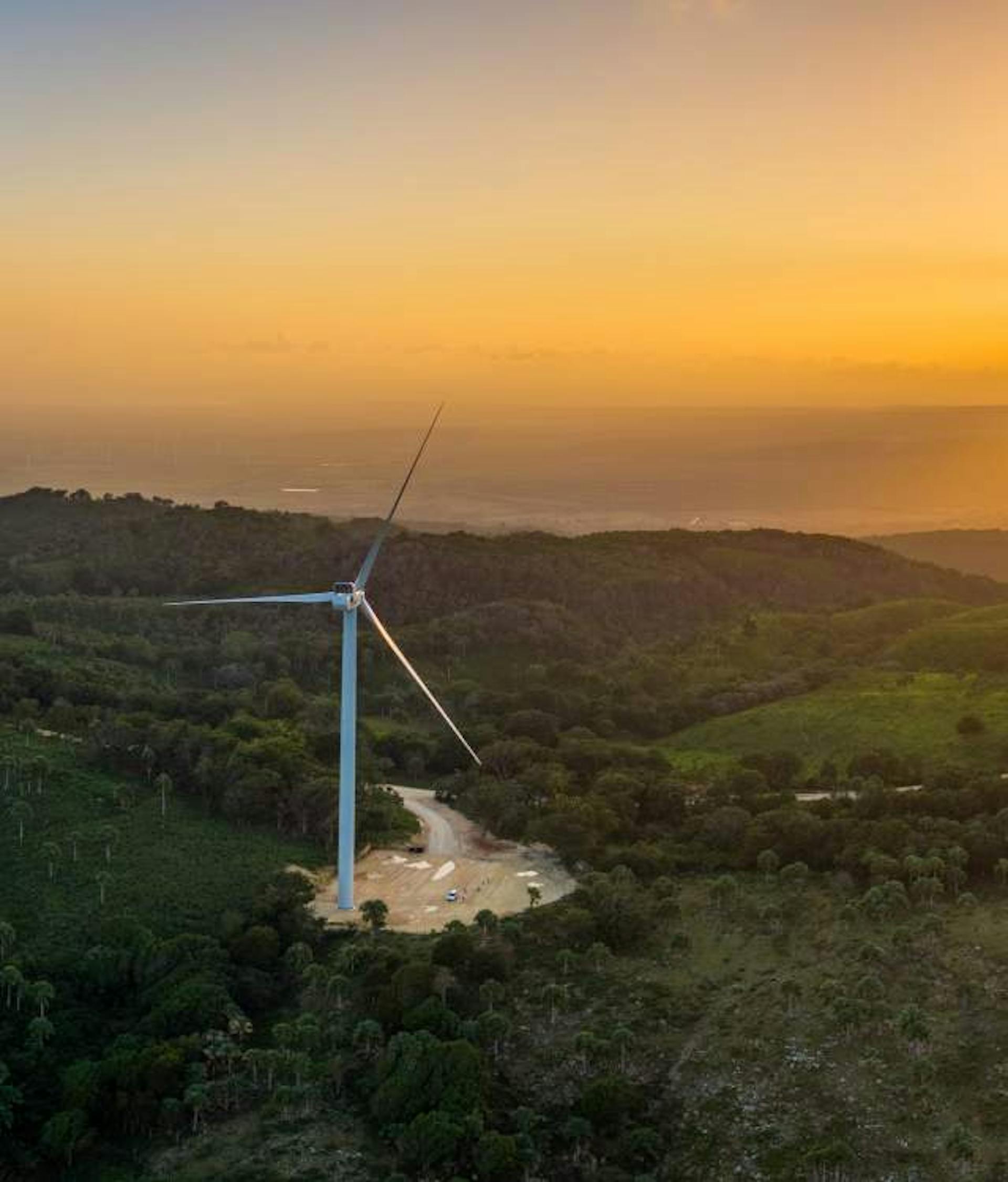 Pedernales