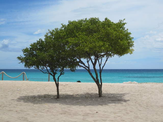 10 AMAZING THINGS CABO ROJO IS KNOWN FOR visual data 2