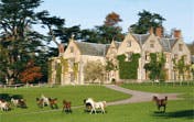 Combe House Helipad