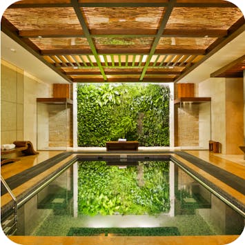 Indoor pool at Sofitel Spa, Sofitel Dubai The Palm, UAE, with a backdrop of leaves on the wall.