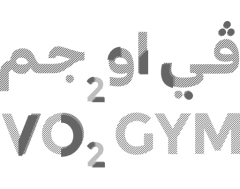 VO2 Gym grey logo