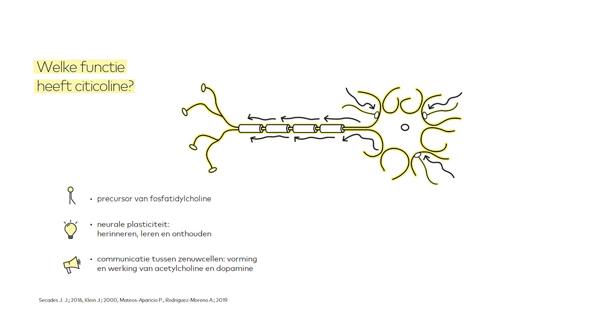 Welke functie heeft citicoline?